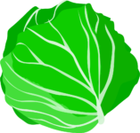 Cabbage food green groceries leaf lettuce