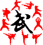 Chinese martial arts Kung Fu Master