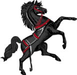 Strong black wild horse