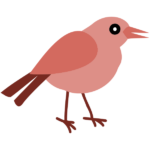 Vector illustration of a robin